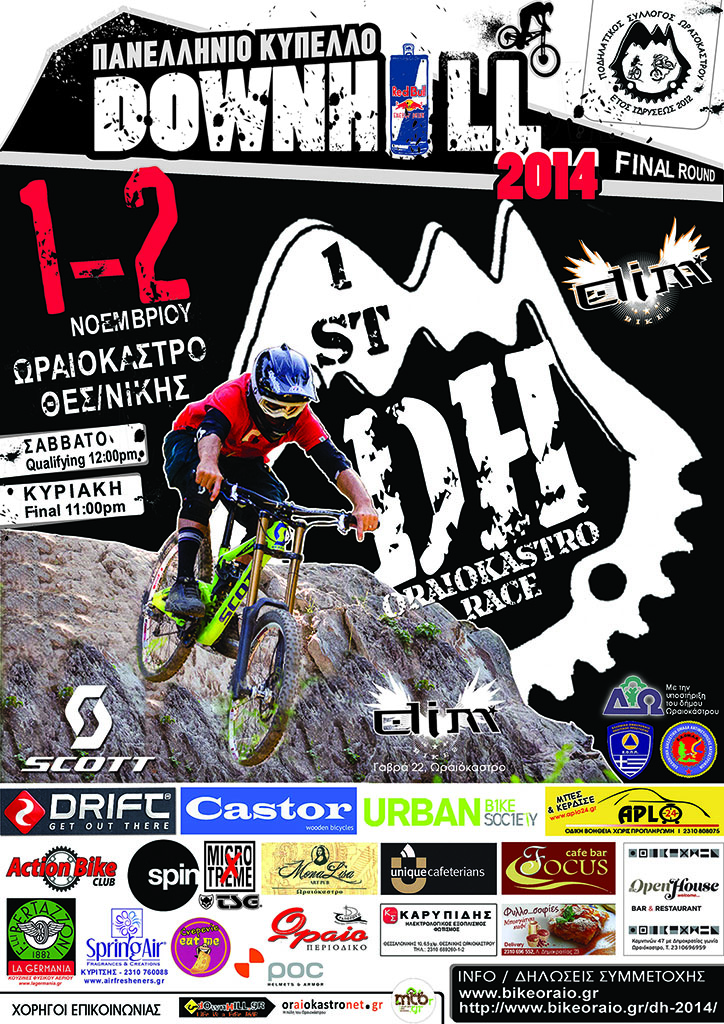 Downhill 2014-resize